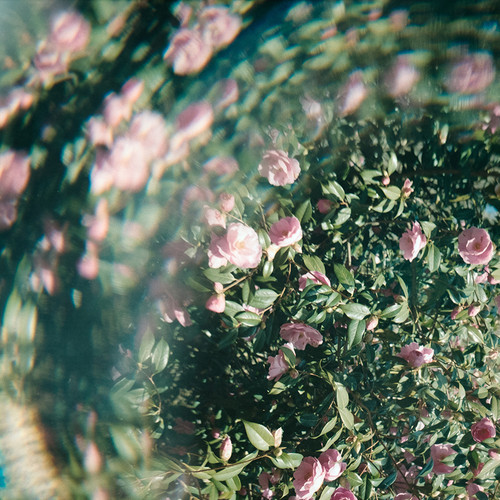 Kodak Flowers 2A