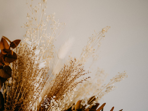 In a Field 3