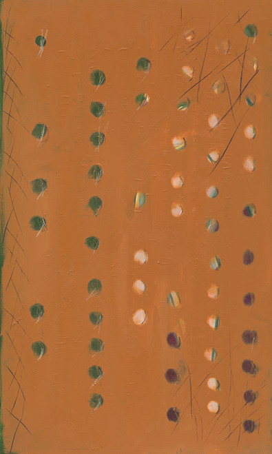 X Spot Orange