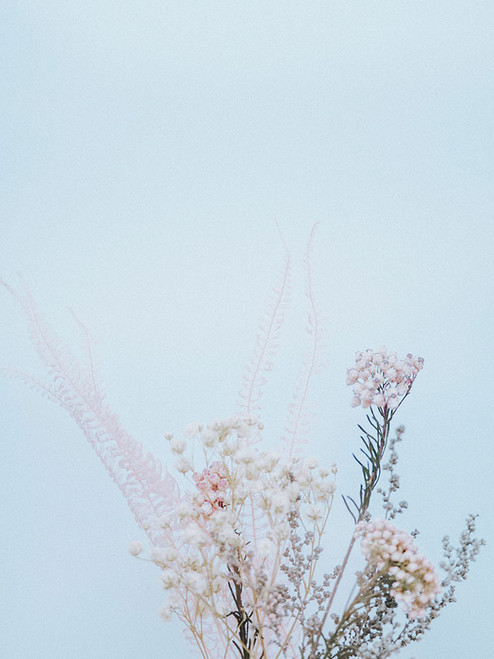 Pink Leaves