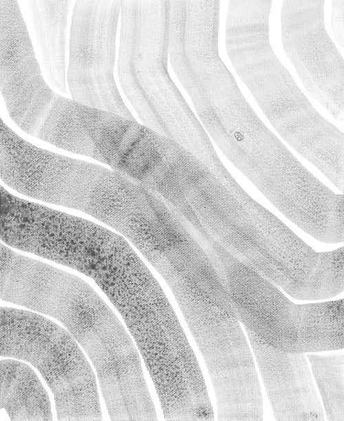 Sheer Waves