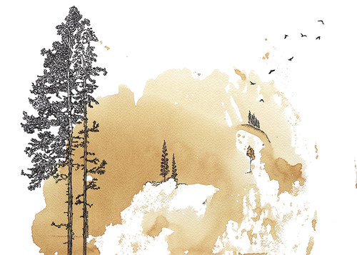 Birds and Trees in Nature