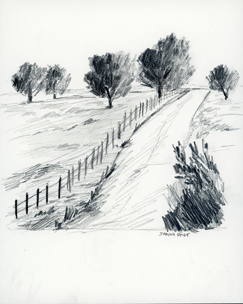 Fenced Path