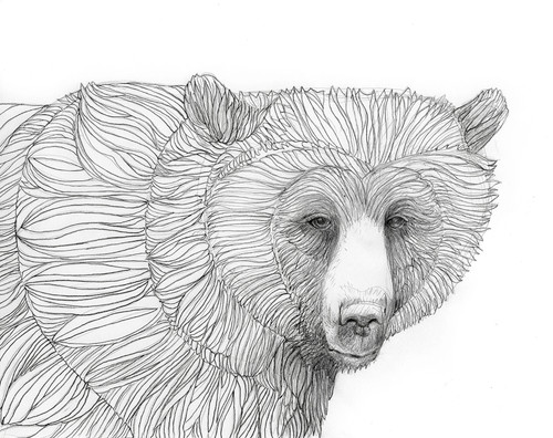 Brown Bear