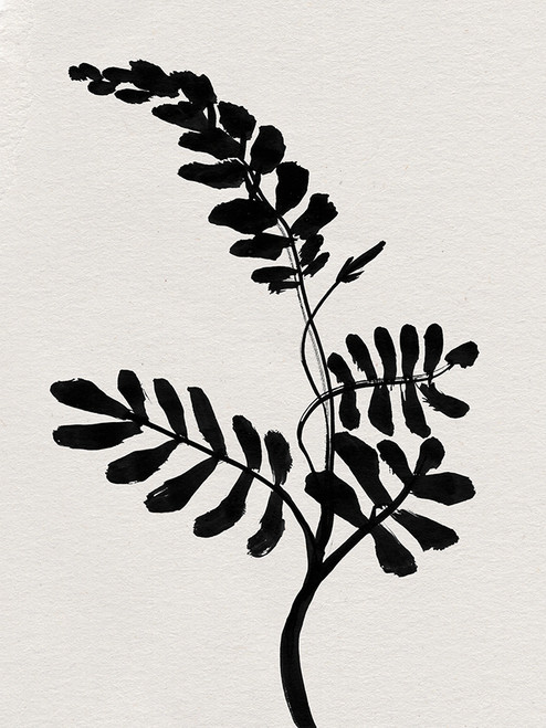 Mono Flower 2