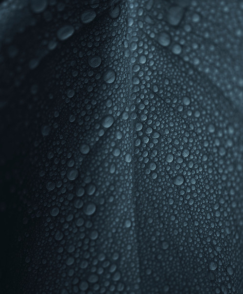 Dew Drops