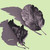 Green Leaf