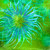 Color Story Green