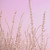 Hoar Frost Pink