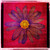 Vintage Flower Red