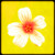 Framed Flower No 1