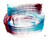 Color 4