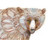 Colored Bear
