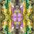 Sojourn II