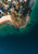 Ocean View