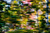Through the Trees