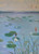 Watering water lilies