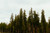 Reaching for the Sky