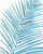 Blue Fan