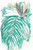 Aqua Tropic 1