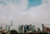 Austin Skyline I