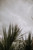 Plant I