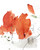 Desert Rose 2
