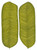 Musaceae Luncta