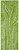 Pteris Scando