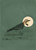 Antique Bird Thyme