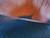 Blue and Orange