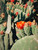 Prickly Blossom 4