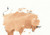 Bull 26