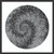Spiral 5