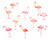 Pink Flamingo