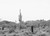 Monochrome Desert