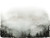 Hazy Mist