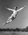Fred Astaire