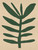 Minimal Plant Print 2