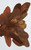 Rorschach Rust 1
