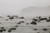 Low Tide/La Push, Washington