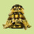 Turtle Art 2 Green