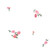French Floral Repeat