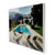 Palm Springs Pool