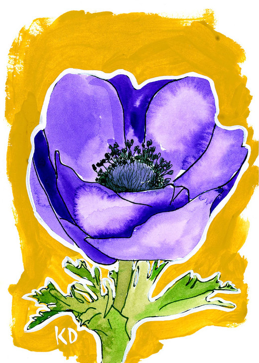 Anemone