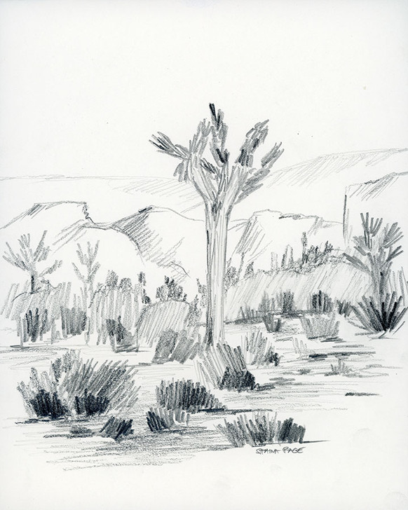 landscape pencil sketches