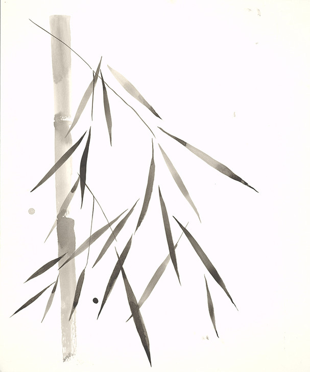 Bamboo I