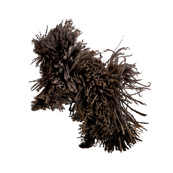 Puli Flying