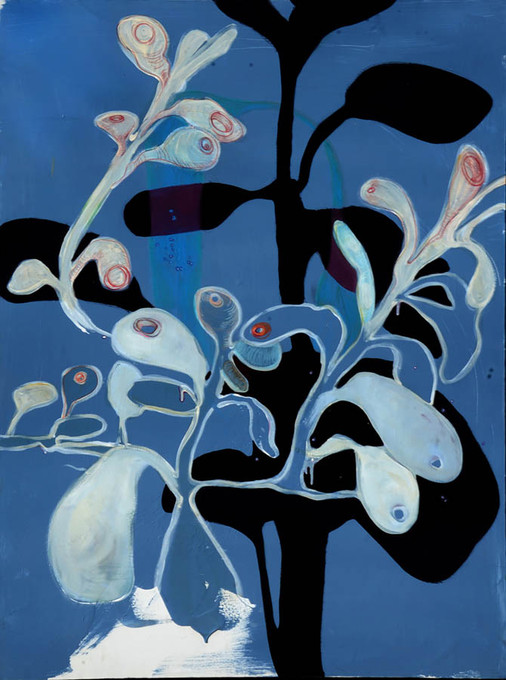 Shadow Plant