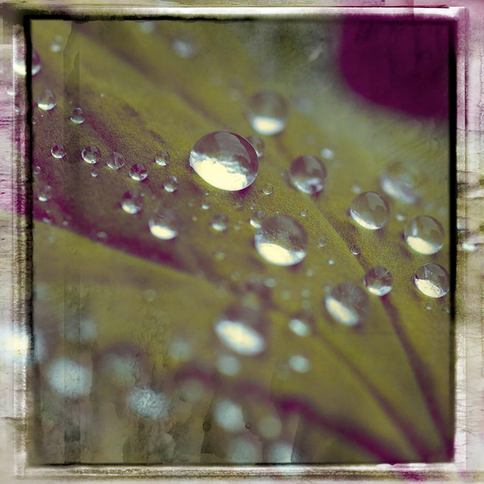 Water Drops Vintage